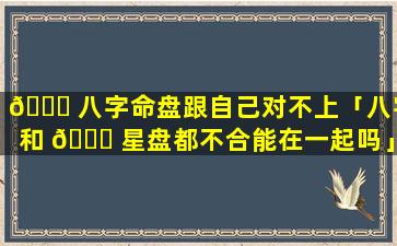 🐋 八字命盘跟自己对不上「八字和 🐟 星盘都不合能在一起吗」